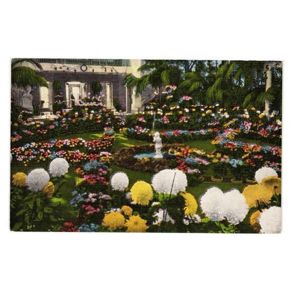 Vintage Postcard  Chrysanthemum Display Jewel Box Forest Park St Louis MO Linen - Picture 1 of 2